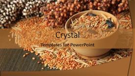  Presentation with parrots - Slides consisting of budgeriga - food for parrots on wooden background and a gold colored foreground