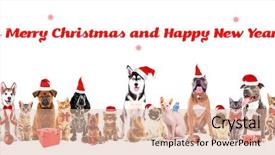  Presentation with merry christmas - Slides featuring budgeriga - funny christmas pets merry christmas background and a lemonade colored foreground