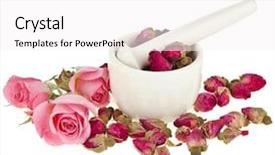  Presentation with pink and white roses country - Presentation theme having buds of the tea roses background and a white colored foreground