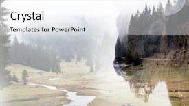  Presentation with bison - Amazing PPT theme having buffalo and a pine forest backdrop and a white colored foreground