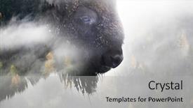  Presentation with bison - Cool new PPT layouts with buffalo and a pine forest backdrop and a light gray colored foreground