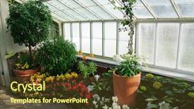  Presentation with gardens - Beautiful PPT theme featuring buffalo and erie county botanical gardens backdrop and a tawny brown colored foreground