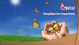  Presentation with butterflies - Presentation with bug free - butterflies flying outdoors towards background and a ocean colored foreground