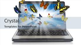 Presentation with get out - Colorful PPT theme enhanced with bug free - butterfly reaches out of laptop backdrop and a light blue colored foreground