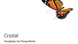  Presentation with butterfly - PPT theme enhanced with bug free - butterfly background and a white colored foreground