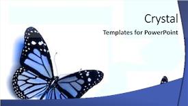  Presentation with butterfly - Amazing theme having bug free - butterfly backdrop and a white colored foreground