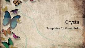  Presentation with butterflies - Amazing slides having bug free - colorful butterflies isolated on grunge backdrop and a lemonade colored foreground