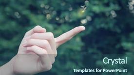  Presentation with firefly - Slides enhanced with bug free - firefly flying away background and a ocean colored foreground