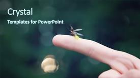  Presentation with take - Cool new slides with bug free - firefly on a child's finger backdrop and a ocean colored foreground