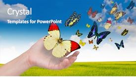  Presentation with butterflies - Slides with bug free - hand holding butterflies background and a teal colored foreground
