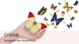  Presentation with hand holding colorful brain sketch - Beautiful presentation theme featuring bug free - hand holding butterflies backdrop and a lemonade colored foreground