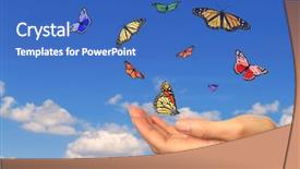  Presentation with released - Slides consisting of bug free - hand holding released butterflies background and a teal colored foreground