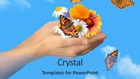  Presentation with butterflies - Audience pleasing PPT layouts consisting of bug free - hands with butterflies backdrop and a light blue colored foreground