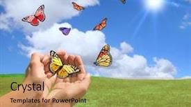  Presentation with released - Slides having bug free - happy bright landscape with butterflies background and a coral colored foreground