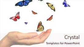  Presentation with womans rights - Colorful PPT theme enhanced with bug free - womans hand releasing beautiful butterflies backdrop and a sky blue colored foreground