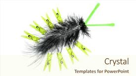  Presentation with artistic - Audience pleasing slides consisting of bug made of clothes pin backdrop and a  colored foreground