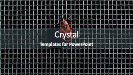  Presentation with mosquito - Cool new presentation design with mosquito net against dark background backdrop and a dark gray colored foreground