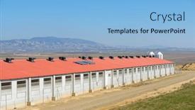  Presentation with breeding - Presentation theme having building-for-cattle-breeding background and a light blue colored foreground