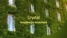  Presentation with vineyard - Slides having building with vineyard on walls background and a tawny brown colored foreground