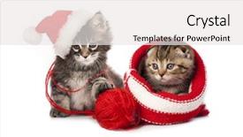  Presentation with catholic history santa maria - Colorful slide deck enhanced with bulb capping - kiten a santa hat backdrop and a white colored foreground