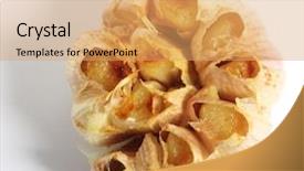  Presentation with japanese new year above view - Beautiful theme featuring bulb oil - view from above backdrop and a coral colored foreground