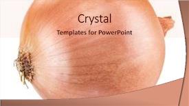  Presentation with onion - Audience pleasing theme consisting of bulb onion isolated backdrop and a coral colored foreground