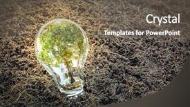  Presentation with nireal processing plant - PPT layouts featuring bulb with plant growing inside background and a gray colored foreground