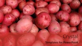  Presentation with bulk - Audience pleasing presentation design consisting of bulk red potatoes backdrop and a red colored foreground