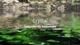  Presentation with frog - Colorful PPT layouts enhanced with bull-frog-s-reflection backdrop and a gray colored foreground