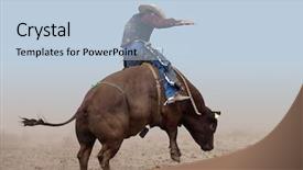  Presentation with rider - Amazing PPT theme having bull rider on a clear backdrop and a light blue colored foreground