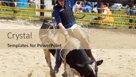  Presentation with rider - 