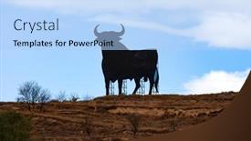  Presentation with landscape desert - Theme enhanced with bull-silhouette-on-a-hillside background and a light blue colored foreground