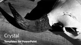  Presentation with skull - Audience pleasing presentation consisting of bull-skull-bones-horns backdrop and a dark gray colored foreground