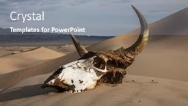  Presentation with skull - Cool new PPT theme with sand desert at sunset death backdrop and a gray colored foreground