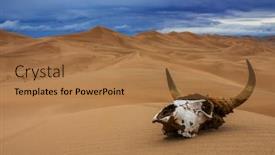  Presentation with storm clouds - Cool new slides with bull-skull-in-the-sand backdrop and a coral colored foreground