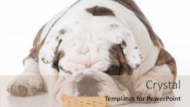  Presentation with bone - 