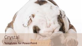  Presentation with bone - 