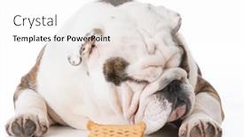  Presentation with bone - 