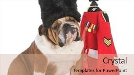  Presentation with british royal family - Cool new presentation theme with bulldog dressed like a royal backdrop and a coral colored foreground