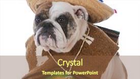  Presentation with mexican - PPT theme with bulldog dressed up background and a tawny brown colored foreground