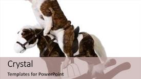  Presentation with horse riding - Audience pleasing presentation design consisting of bulldog riding a rocking horse backdrop and a coral colored foreground