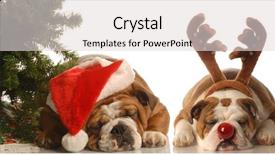  Presentation with christmas tree - Presentation design featuring bulldog santa and bulldog rudolph background and a lemonade colored foreground
