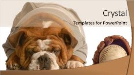  Presentation with mlb baseball in a glove - Amazing presentation theme having bulldog wearing sweatsuit with baseball backdrop and a coral colored foreground