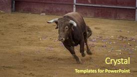  Presentation with mounted mount etna volcano - Slide set consisting of bullfight in camarma of esteruelas background and a  colored foreground