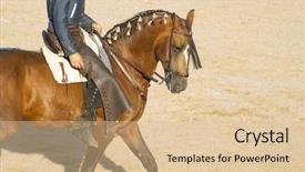  Presentation with spanish - Slide set consisting of bullfight on horseback typical spanish background and a coral colored foreground