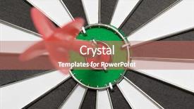  Presentation with eye - Slides with accessories for the grooming of the dog on pink background combs and brushes for dogs top view still life copy space flat lay background and a coral colored foreground