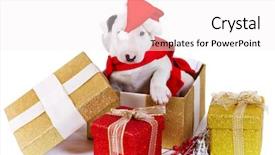  Presentation with puppy - Colorful theme enhanced with bullterrier puppy with santa hat as christmas present backdrop and a sky blue colored foreground