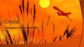  Presentation with bulrushes - Colorful PPT theme enhanced with bulrushes against sunlight over sky backdrop and a gold colored foreground