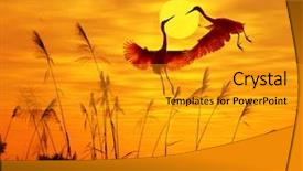  Presentation with sunlight - Presentation design consisting of bulrushes against sunlight over sky background and a gold colored foreground