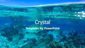  Presentation with malaysia - Amazing PPT theme having bumphead parrotfish at sipadan island backdrop and a ocean colored foreground